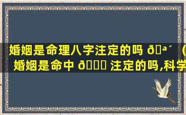 婚姻是命理八字注定的吗 🪴 （婚姻是命中 🐅 注定的吗,科学解释一下）